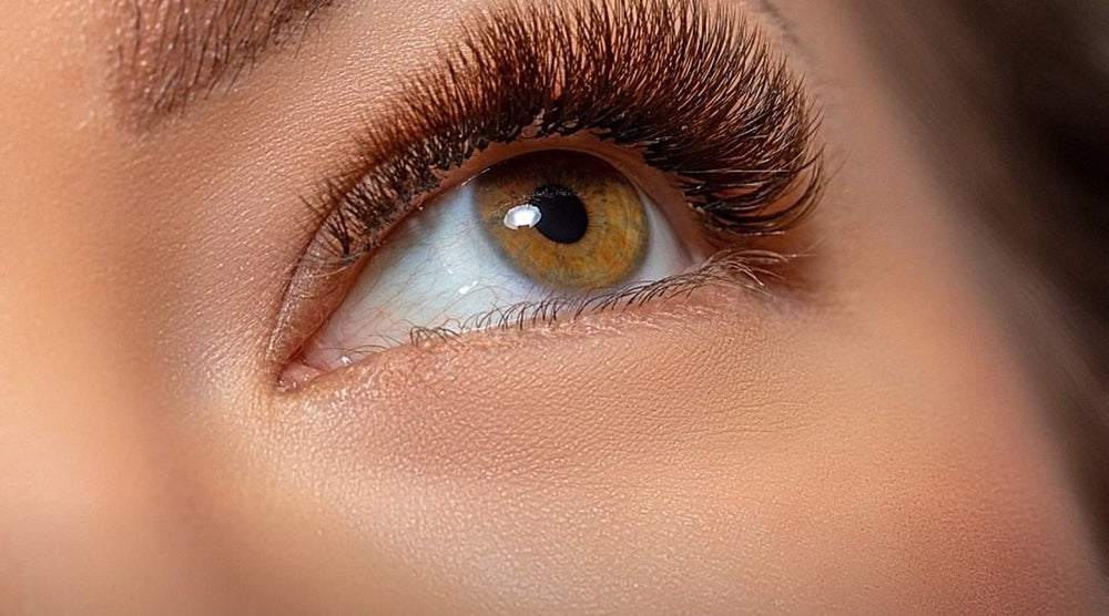 Lash extensions are back.