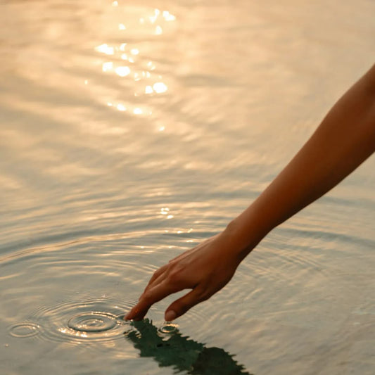 Beauty & Wellness Coaching